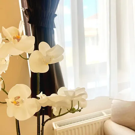 Apartament Next Konstanca